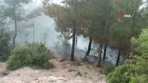 O­s­m­a­n­i­y­e­’­d­e­ ­1­ ­d­ö­n­ü­m­ ­k­ı­z­ı­l­ ­ç­a­m­ ­o­r­m­a­n­ı­ ­y­a­n­d­ı­
